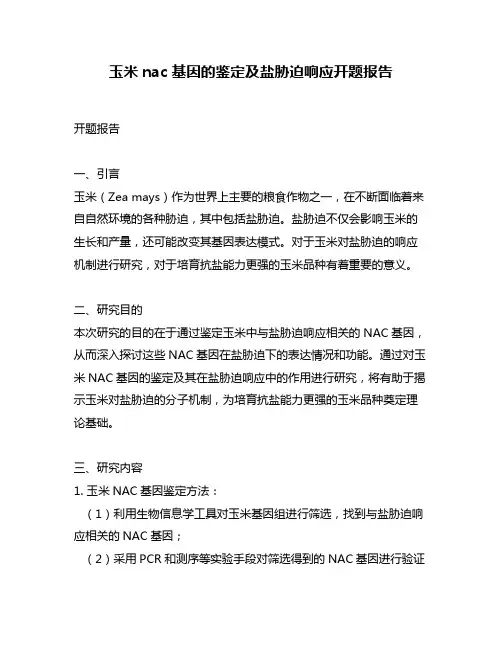 玉米nac基因的鉴定及盐胁迫响应开题报告