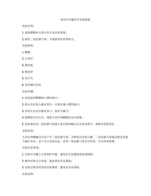 初高中有趣化学实验教案