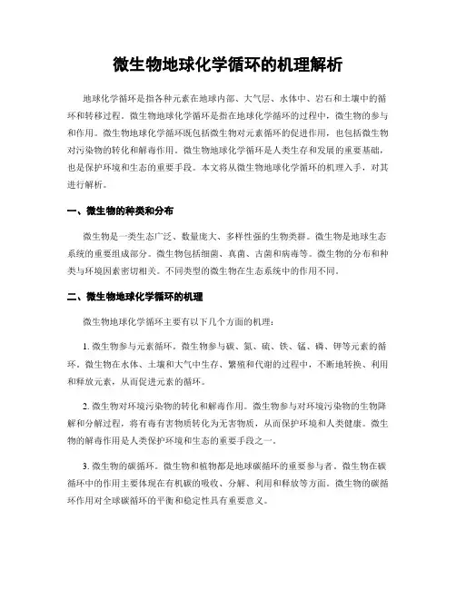 微生物地球化学循环的机理解析