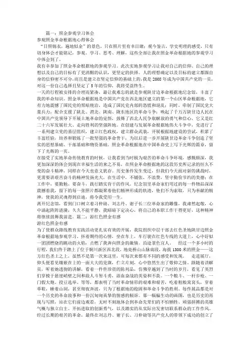 照金学习心得体会