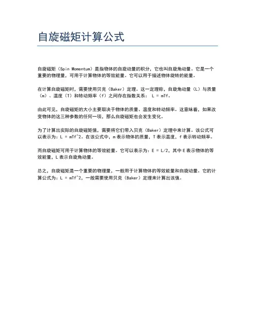 自旋磁矩计算公式
