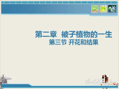 人教版初中生物七上3. 开花和结果 课件 PPT(34张)优质课件