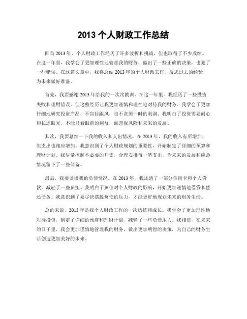 2013个人财政工作总结