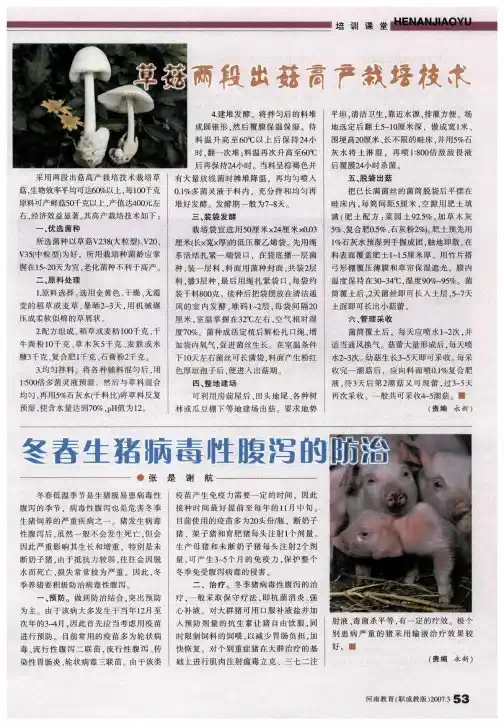 草菇两段出菇高产栽培技术
