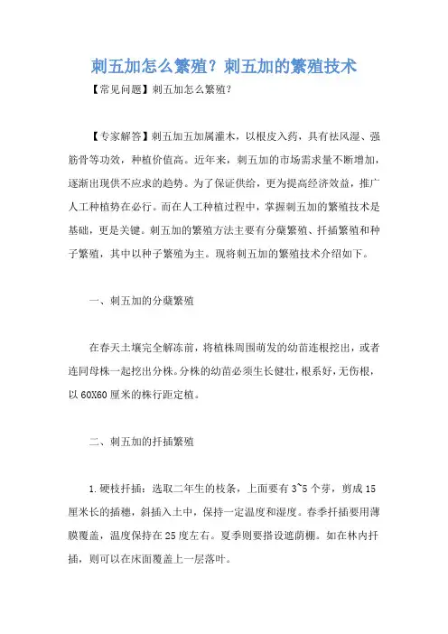刺五加怎么繁殖？刺五加的繁殖技术