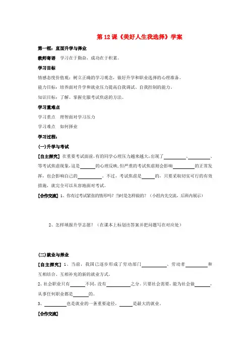 九年级政治第十二课《美好人生我选择》学案鲁教版