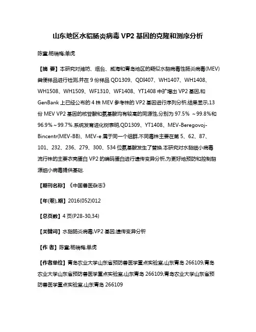 山东地区水貂肠炎病毒VP2基因的克隆和测序分析