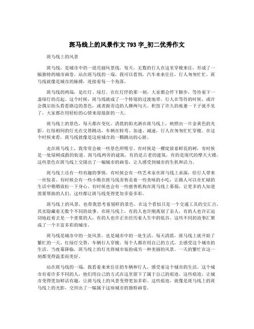 斑马线上的风景作文793字_初二优秀作文