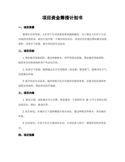 项目资金筹措计划书
