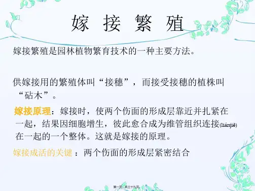园林植物嫁接技术..