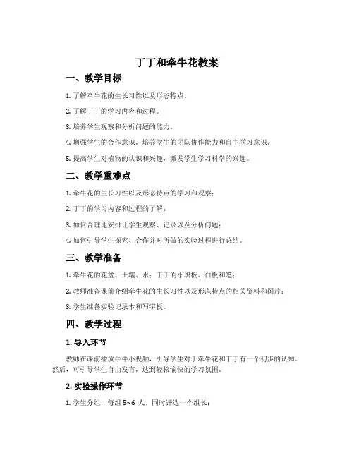“丁丁和牵牛花”教案