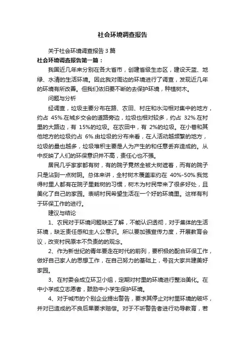 关于社会环境调查报告3篇