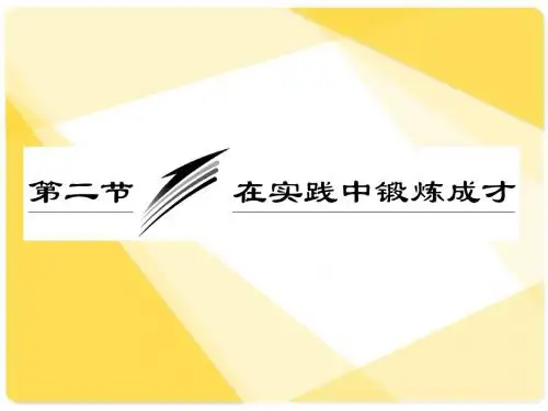 高三政治总复习课件：专题27：在实践中锻炼成才