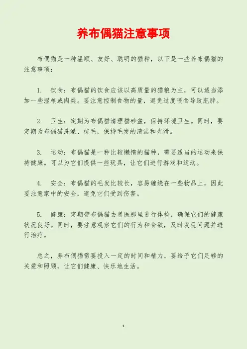 养布偶猫注意事项