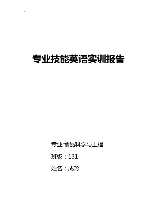 专业技能英语实训报告