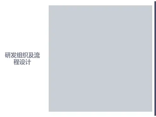 研发流程及控制程序