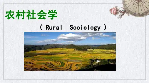 农村社会学ppt课件