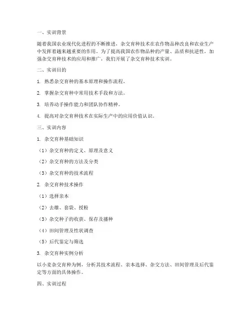 杂交育种技术实训报告