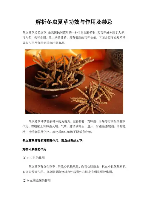 解析冬虫夏草功效与作用及禁忌