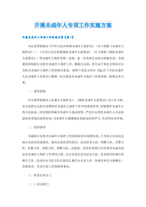 开展未成年人专项工作实施方案