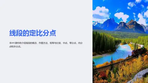 《线段的定比分点》课件
