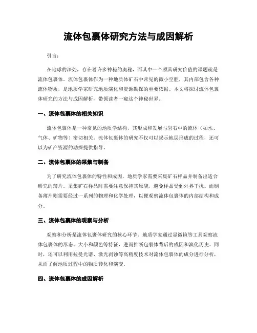 流体包裹体研究方法与成因解析