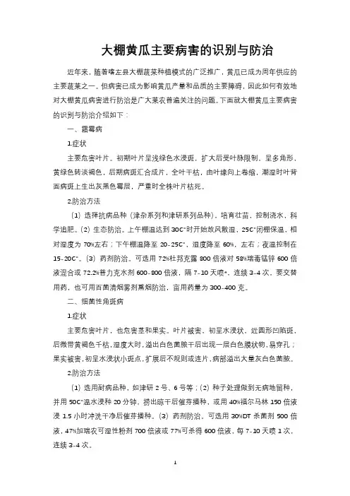 大棚黄瓜主要病害的识别与防治