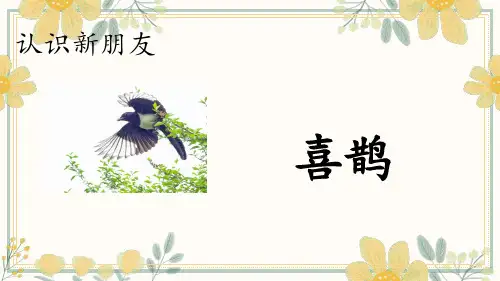 13寒号鸟 课件(共39张PPT).ppt