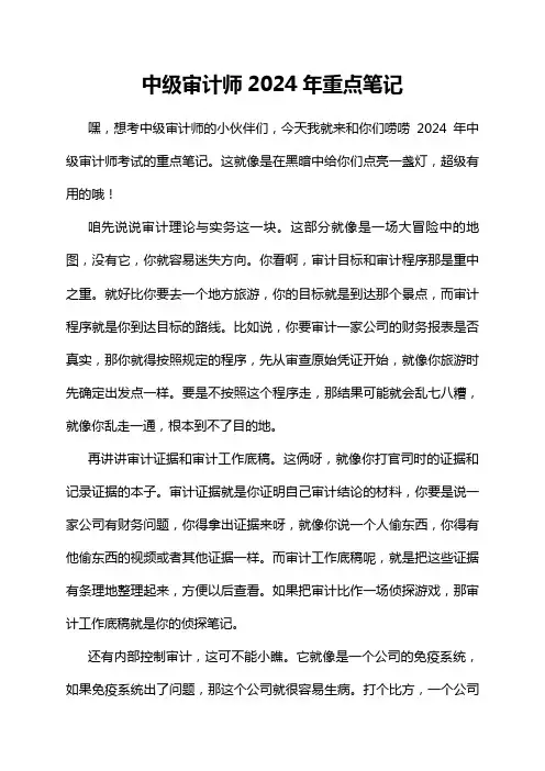 中级审计师2024年重点笔记