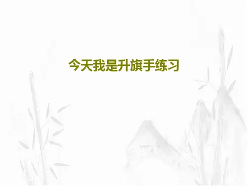 今天我是升旗手练习PPT文档36页