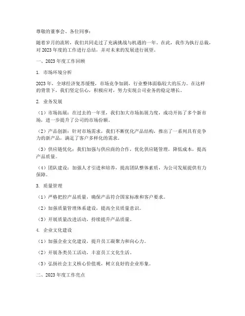 执行总裁年度总结