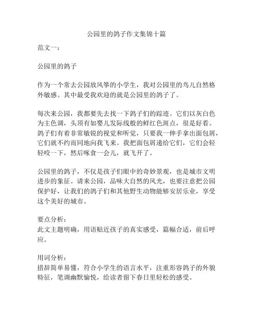 公园里的鸽子作文集锦十篇