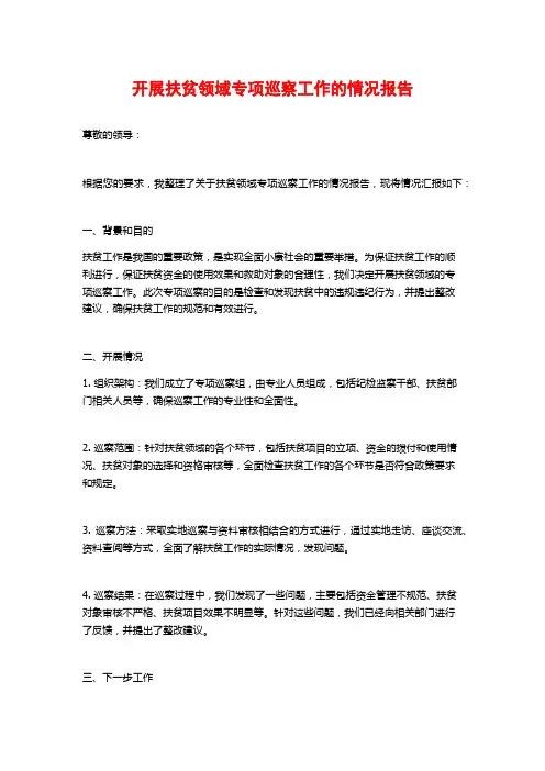 开展扶贫领域专项巡察工作的情况报告