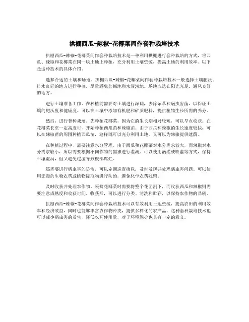 拱棚西瓜-辣椒-花椰菜间作套种栽培技术
