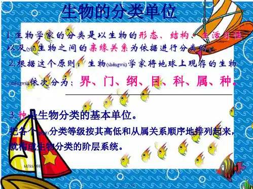 七年级生物上册生物的分类单位