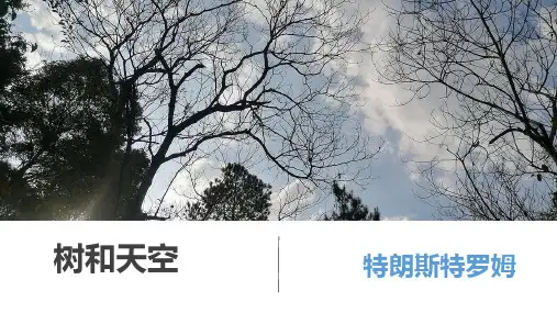 13.4《树和天空》课件(共26张PPT)统编版高中语文选择性必修中册