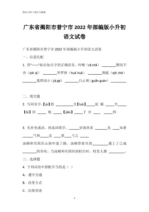 广东省揭阳市普宁市2022年部编版小升初语文试卷