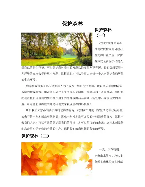 保护森林(共10篇)