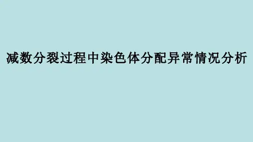 减数分裂过程中染色体分配异常情况分析