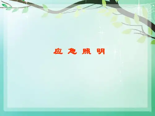 应急照明灯具