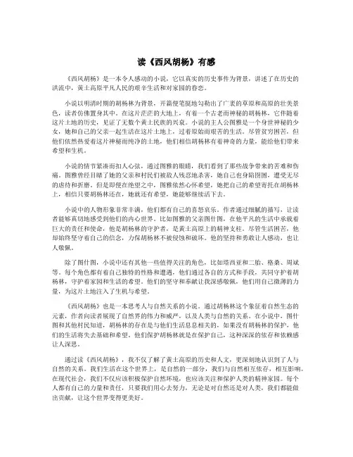 读《西风胡杨》有感