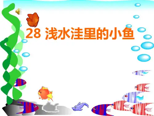 浅水洼里的小鱼ppt课件