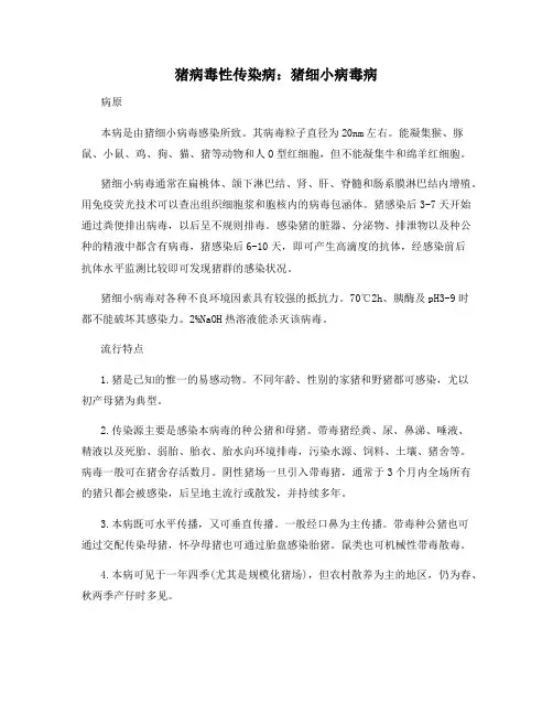 猪病毒性传染病：猪细小病毒病
