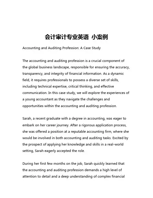 会计审计专业英语 小案例