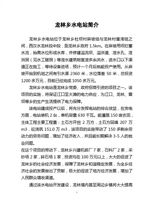 龙林水电站简介