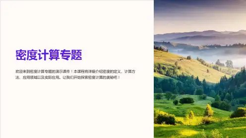 《密度计算专题》课件