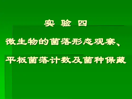 实验四 微生物的菌落形态观察、平板菌落计数及菌种保藏(张理珉)