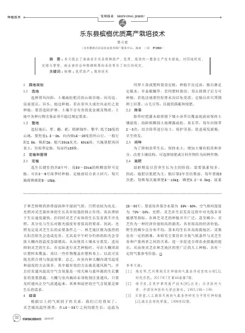 乐东县槟榔优质高产栽培技术
