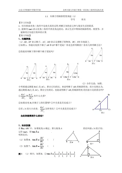 从梯子的倾斜程度谈起(1)学案