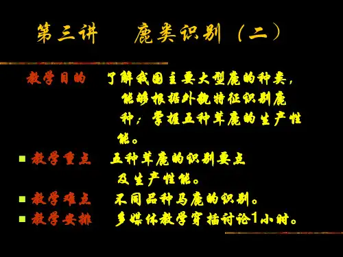 第3讲 鹿的识别2
